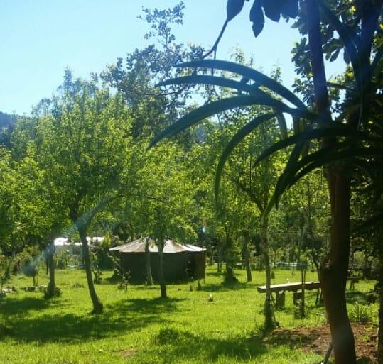 Fotografía 5 de Camping Pangui-Valdivia en Los Lagos, Los Rios