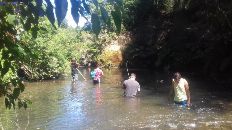 Fotografía 6 de Camping Pangui-Valdivia en Los Lagos, Los Rios