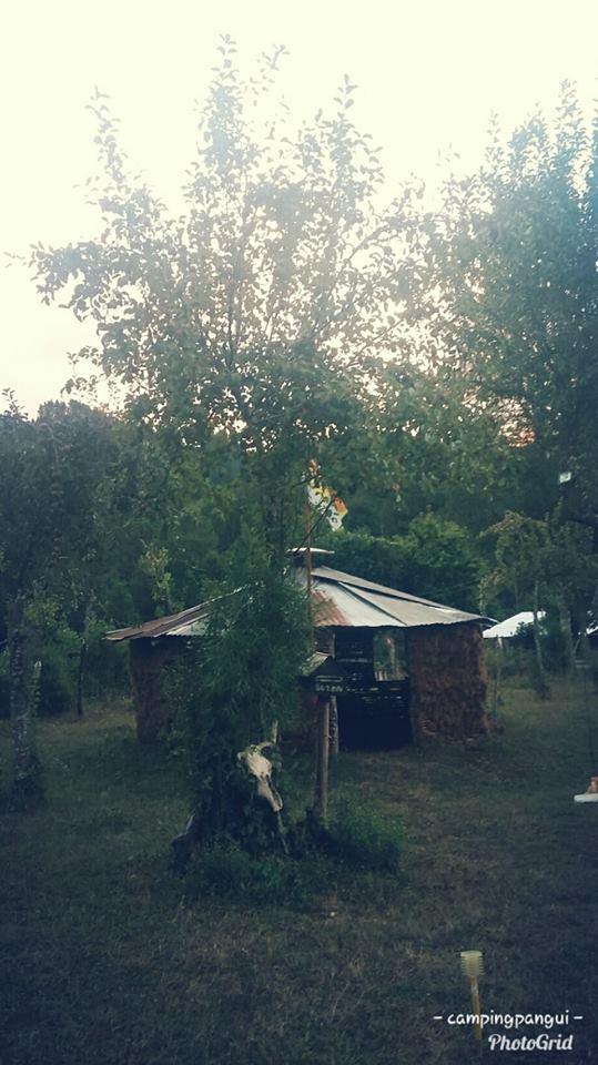 Fotografía 8 de Camping Pangui-Valdivia en Los Lagos, Los Rios
