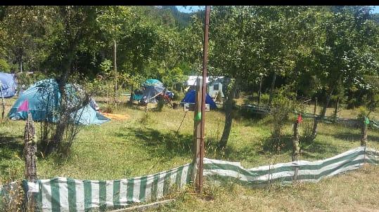Fotografía 9 de Camping Pangui-Valdivia en Los Lagos, Los Rios