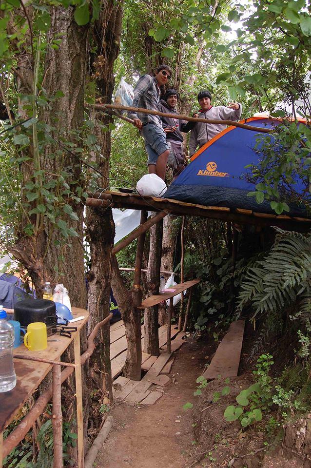 Fotografía 4 de Hostal y Camping Gente del Bosque en Castro, Los Lagos