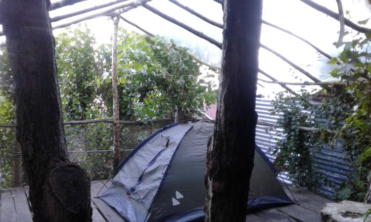 Fotografía 8 de Hostal y Camping Gente del Bosque en Castro, Los Lagos