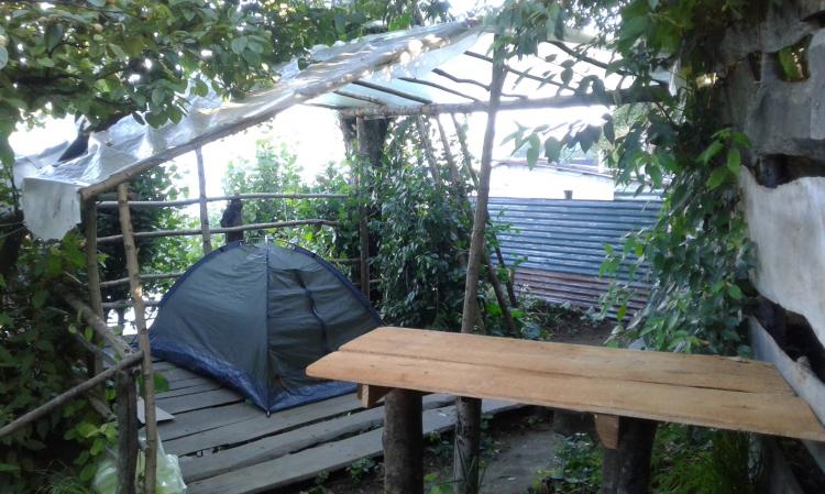 Fotografía 9 de Hostal y Camping Gente del Bosque en Castro, Los Lagos
