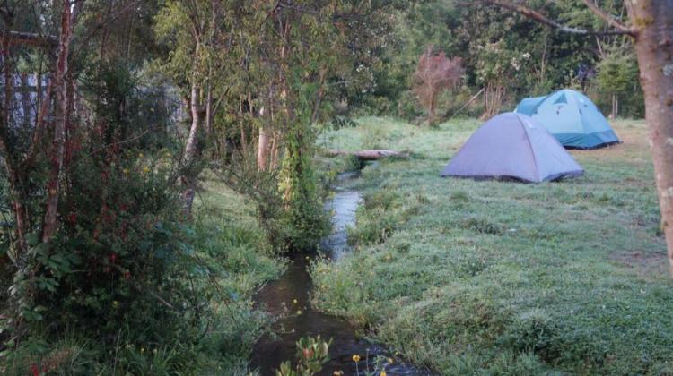 Fotografía 4 de Camping Fundo Fritz en Puerto Montt, Los Lagos