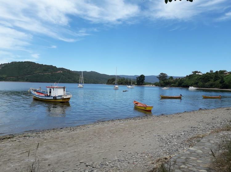 Fotografía 7 de Camping Anita, Isla de Mancera en Corral, Los Rios