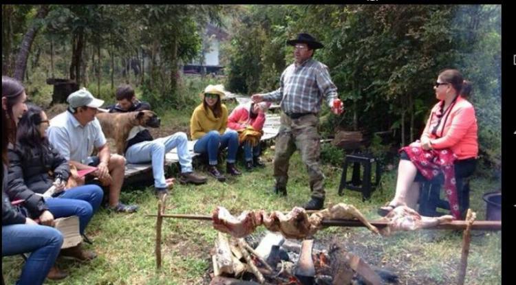 Fotografía 5 de Camping y Cerveceria Walwalun en Puerto Montt, Los Lagos
