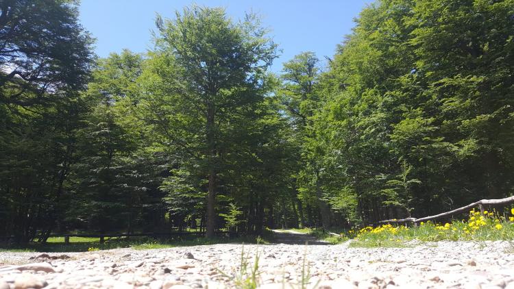 Fotografía 6 de Camping Laguna Chiguay en Coyhaique, Aysen