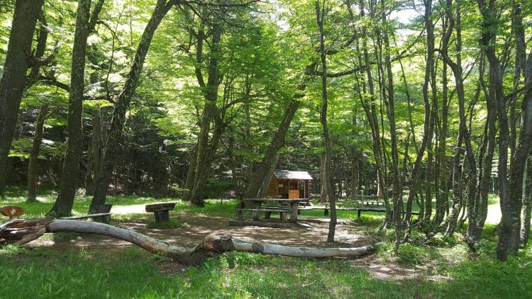 Fotografía 7 de Camping Laguna Chiguay en Coyhaique, Aysen