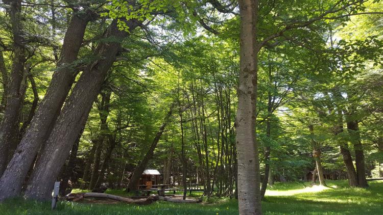 Fotografía 9 de Camping Laguna Chiguay en Coyhaique, Aysen