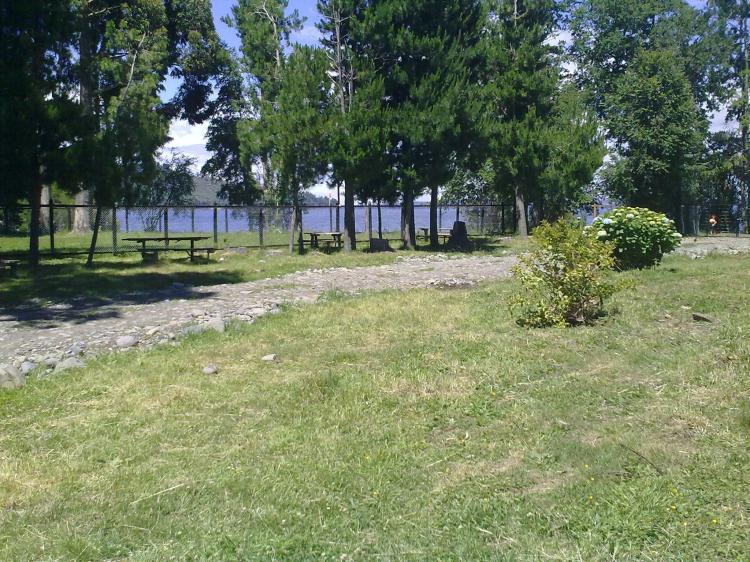 Fotografía 2 de Camping El Fuerte en Rio Bueno, Los Rios