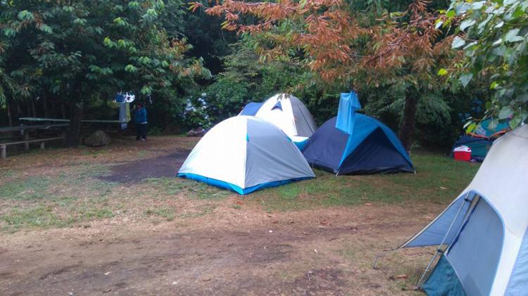 Fotografía 4 de Camping El Fuerte en Rio Bueno, Los Rios