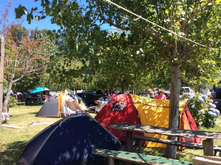 Fotografía 5 de Camping El Fuerte en Rio Bueno, Los Rios