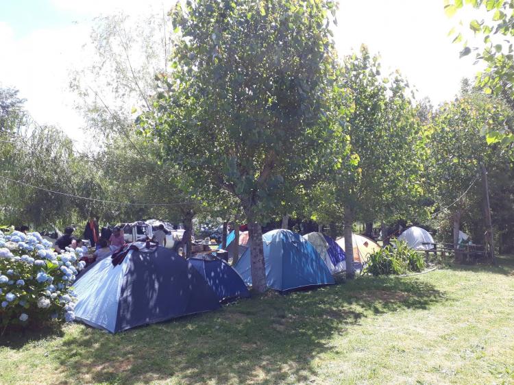 Fotografía 8 de Camping El Fuerte en Rio Bueno, Los Rios