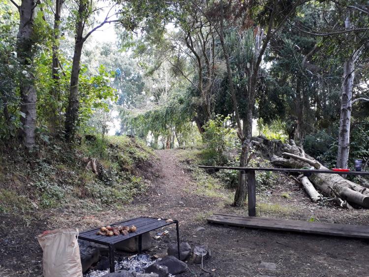 Fotografía 10 de Camping El Fuerte en Rio Bueno, Los Rios