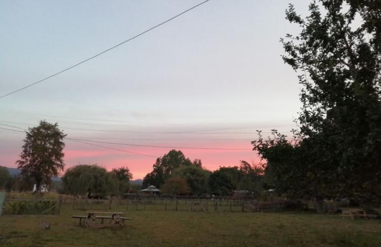 Fotografía 7 de Camping Los Pinos en Rio Bueno, Los Rios