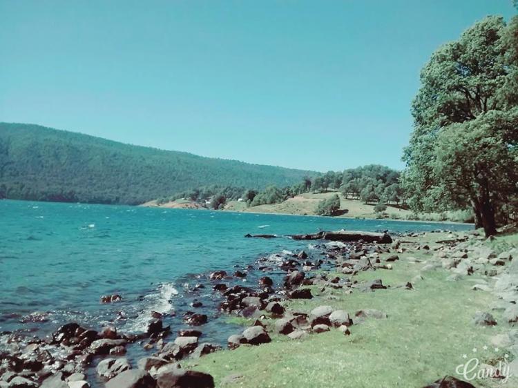 Fotografía 3 de Camping Afpun Lafquen en Lonquimay, Araucania