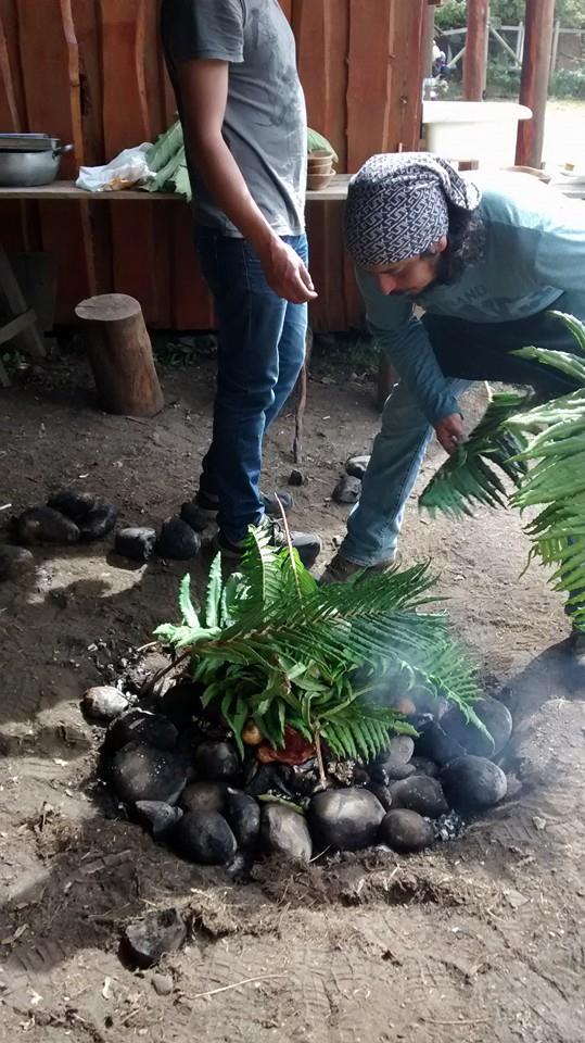 Fotografía 15 de Camping y Fogón Huillinco en Chonchi, Los Lagos