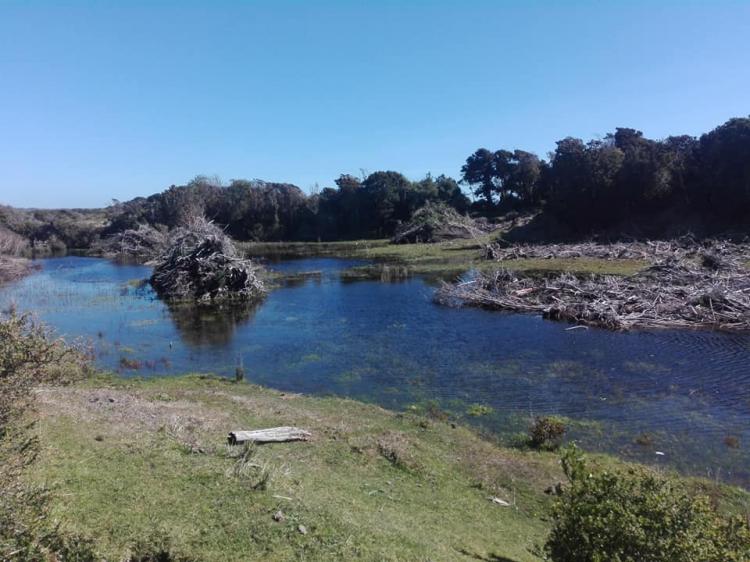 Fotografía 2 de Camping Mirador de las almas en Chonchi, Los Lagos