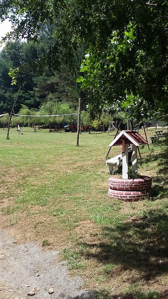 Fotografía 3 de Camping De Veraneo y Eventos Pincheira Millar en El Carmen, Bio Bio