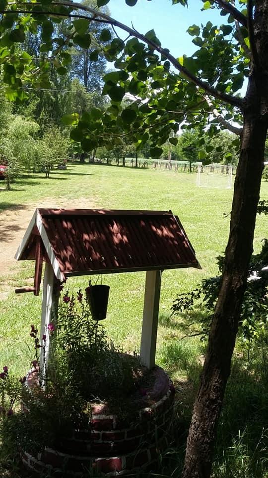 Fotografía 6 de Camping De Veraneo y Eventos Pincheira Millar en El Carmen, Bio Bio