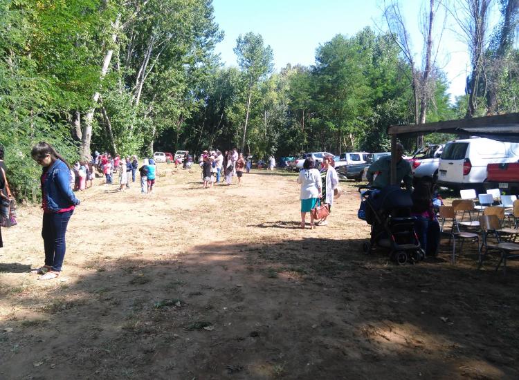Fotografía 7 de Camping El Che en Chillan, Bio Bio