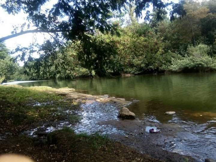 Fotografía 10 de Camping El Che en Chillan, Bio Bio