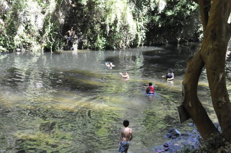 Fotografía 3 de Camping El Macal en El Carmen, Bio Bio