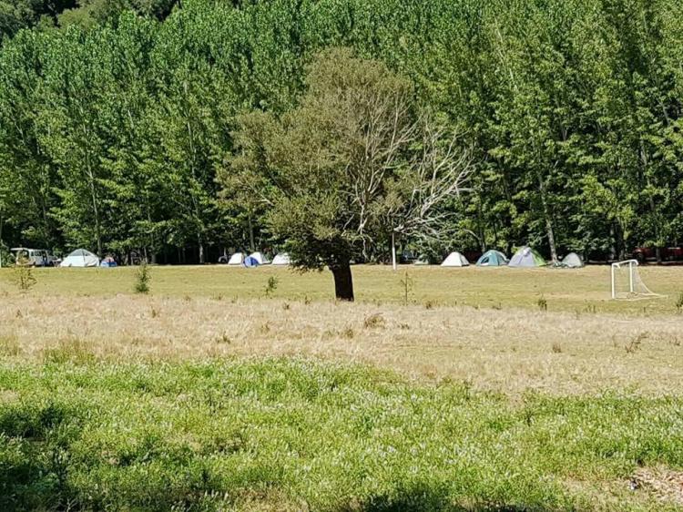 Fotografía 6 de Camping El Macal en El Carmen, Bio Bio