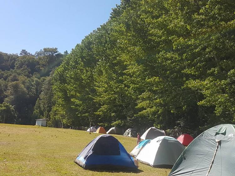 Camping El Macal en El Carmen, Bio Bio