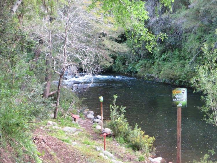 Fotografía 3 de Camping EL Sendero Del Puma en El Carmen, Bio Bio