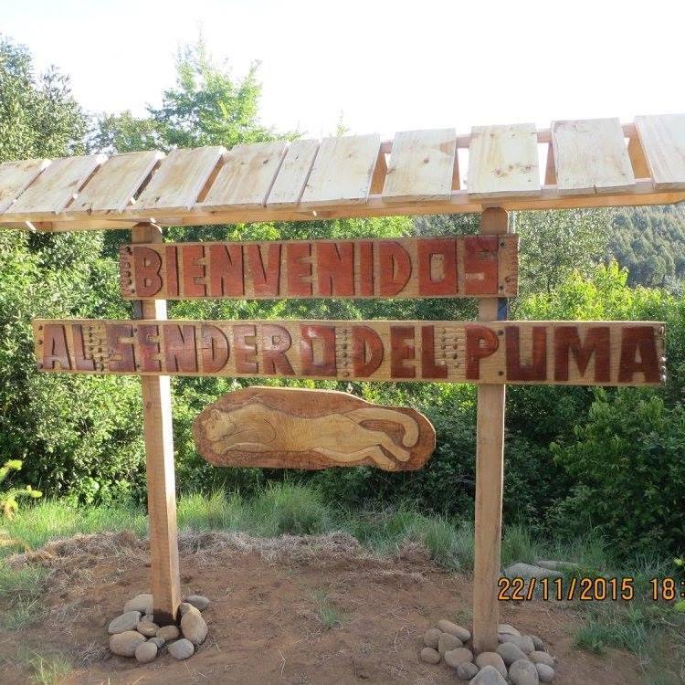 Fotografía 4 de Camping EL Sendero Del Puma en El Carmen, Bio Bio