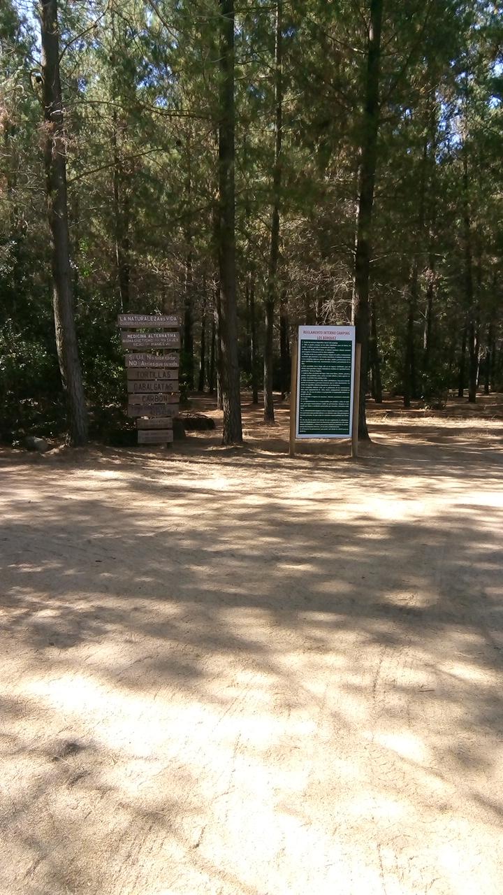 Fotografía 4 de Camping Los Borquez en El Carmen, Bio Bio