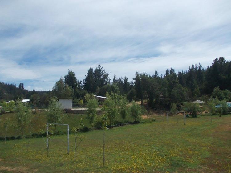 Fotografía 5 de Camping Los Robles en Curepto, Maule