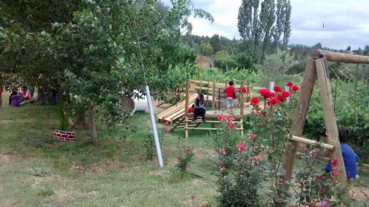 Fotografía 14 de Camping Los Robles en Curepto, Maule