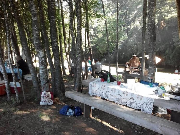 Fotografía 2 de Camping Los Robles en El Carmen, Bio Bio