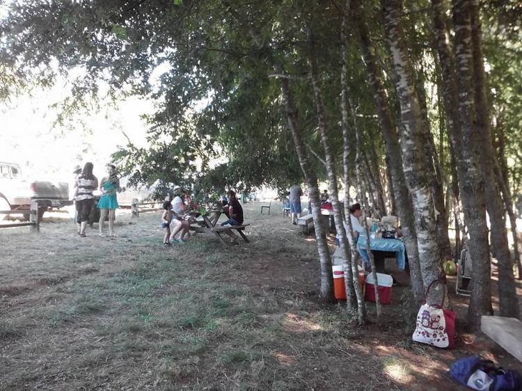Fotografía 3 de Camping Los Robles en El Carmen, Bio Bio