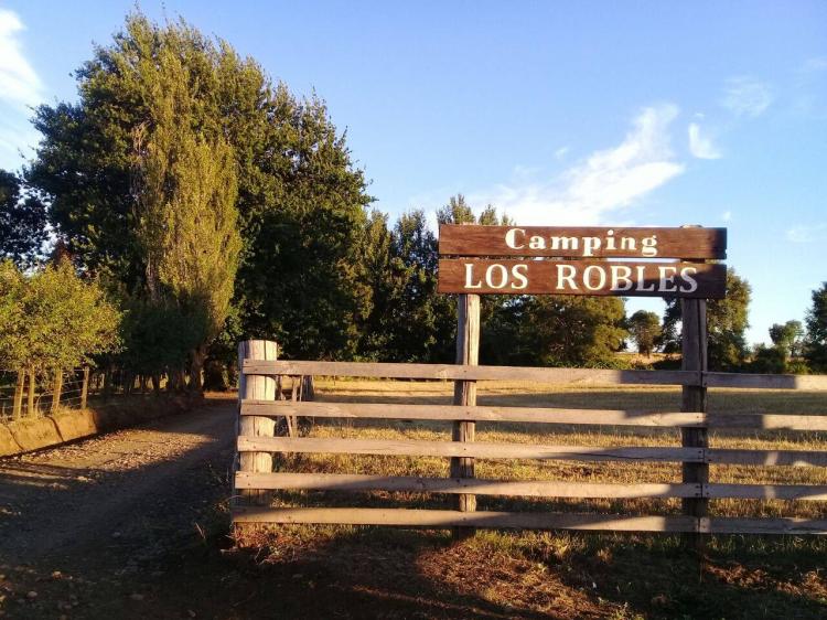 Fotografía 4 de Camping Los Robles en El Carmen, Bio Bio