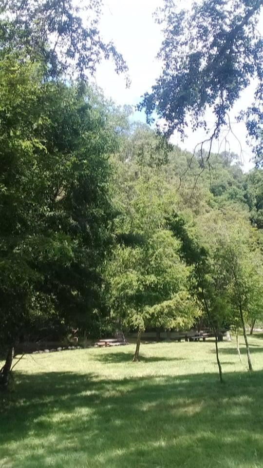 Fotografía 7 de Camping Los Robles en El Carmen, Bio Bio