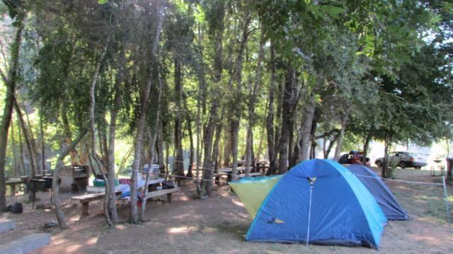 Fotografía 10 de Camping Los Robles en El Carmen, Bio Bio