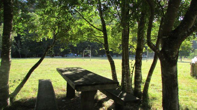 Fotografía 13 de Camping Los Robles en El Carmen, Bio Bio