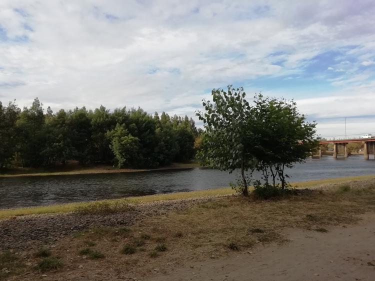Camping Renaico en Negrete, Bio Bio