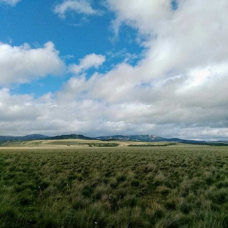 Fotografía 2 de Camping Sendero Patagonia en Rio Ibañez, Aysen