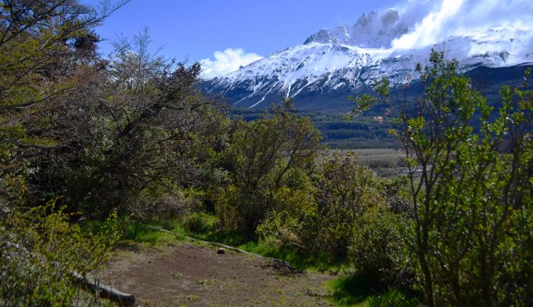 Fotografía 6 de Camping Sendero Patagonia en Rio Ibañez, Aysen