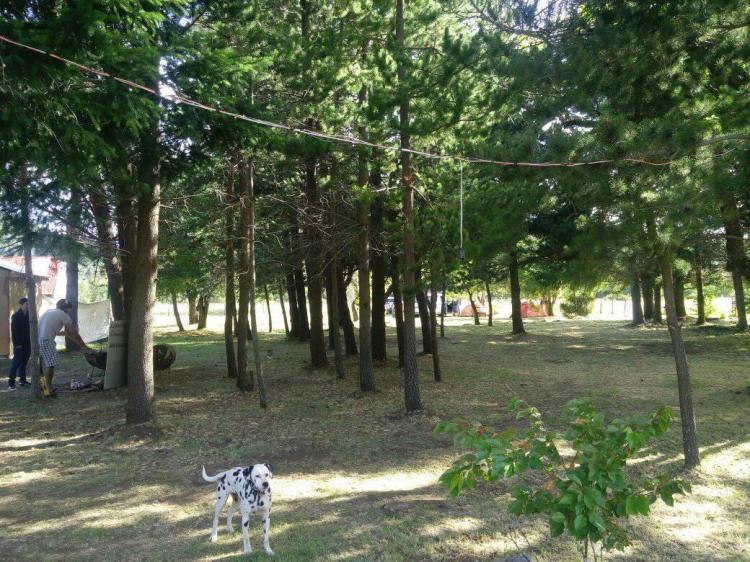 Fotografía 2 de Kingo Camp en Curacautin, Araucania