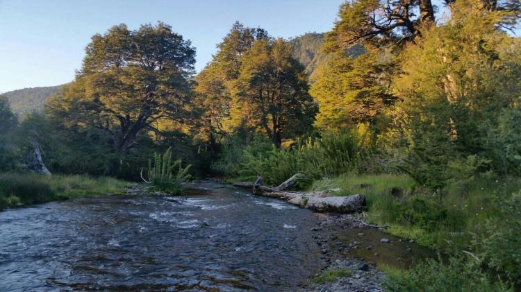 Fotografía 3 de Kingo Camp en Curacautin, Araucania