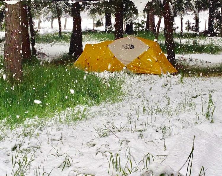 Fotografía 6 de Kingo Camp en Curacautin, Araucania