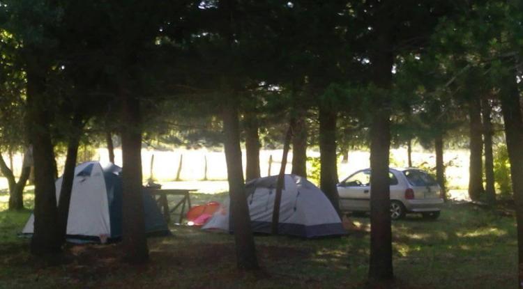 Fotografía 8 de Kingo Camp en Curacautin, Araucania