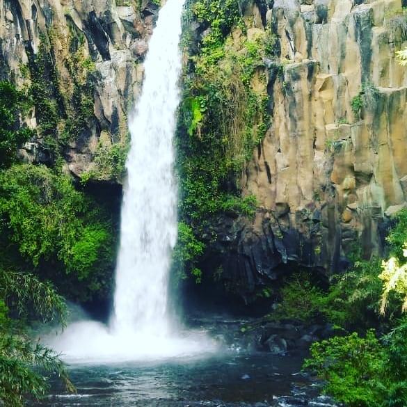 Fotografía 9 de Kingo Camp en Curacautin, Araucania