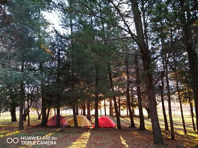Fotografía 11 de Kingo Camp en Curacautin, Araucania
