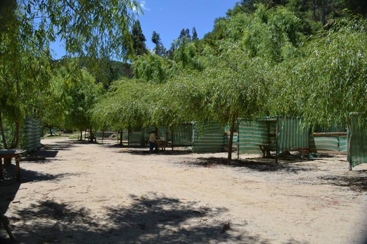 Fotografía 7 de Camping Las Corrientes en Santa Juana, Bio Bio
